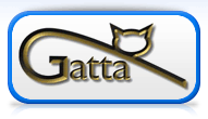 Gatta.gif, 9,1kB